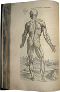 Medicina De Humani Corporis Fabrica Libri Septem