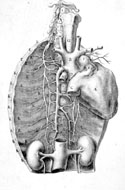 Medicina Opera Omnia in quinque tomos divisa